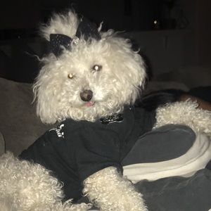 Meet your Posher, Maria